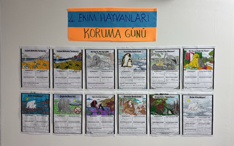 Hayvanları Koruma Günü