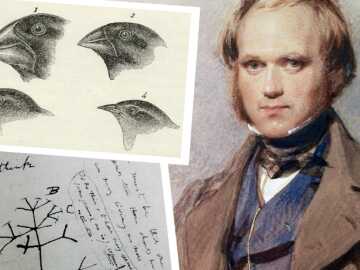 Charles Darwin 1809-1882