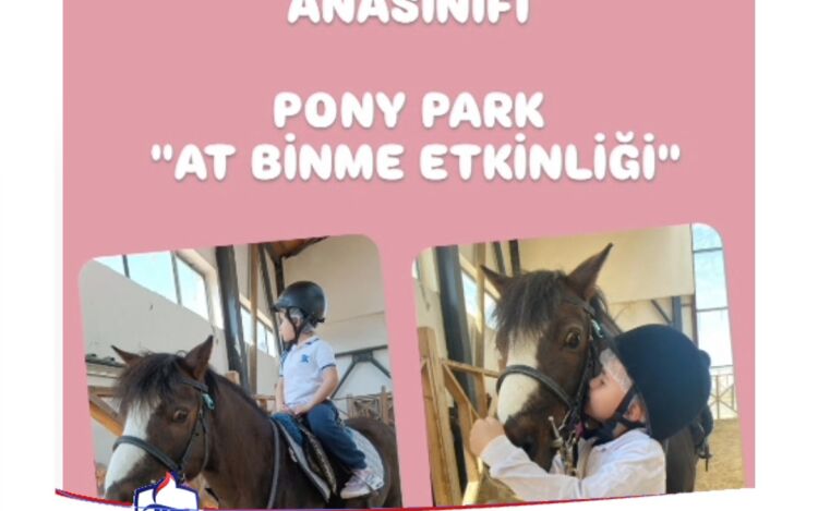 Anasınıfı At Binme Etkinliği