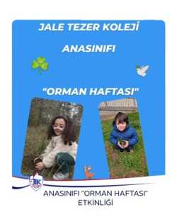 Anasınıfı "Orman Haftası" Etkinliği