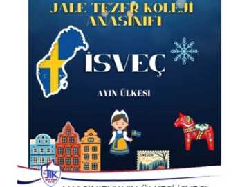 Anasınıfı Ayın Ülkesi " İSVEÇ"