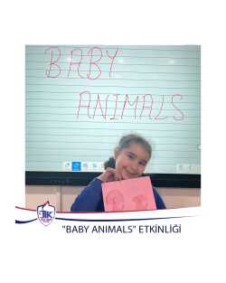 "Baby Anımals" Etkinliği