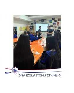 DNA İzolasyonu Etkinliği