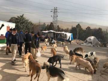 Özel Jale Tezer Anadolu Lisesi 10.sınıf öğrencilerinin Barınak Ziyareti