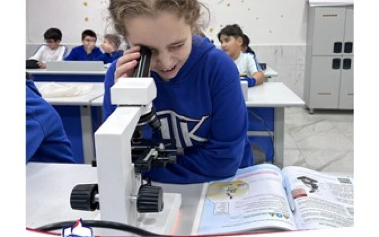 Laboratuvar Etkinliği