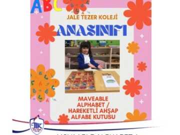 Movaable Alphabet / Hareketli Ahşap Alfabe Kutusu