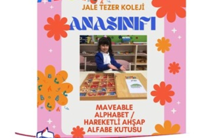Movaable Alphabet / Hareketli Ahşap Alfabe Kutusu
