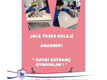 Haydi Satranç Oynayalım