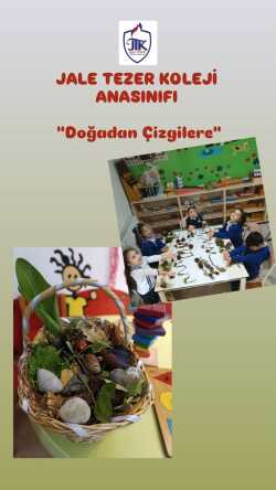 Anasınıfı Doğadan Çizgilere