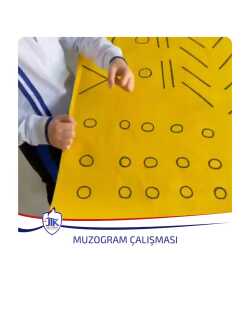 Muzogram Çalışması