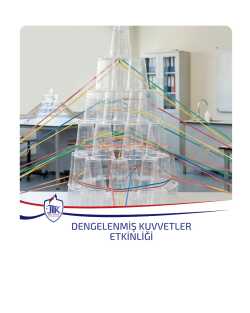 Dengelenmiş Kuvvetler Etkinliği